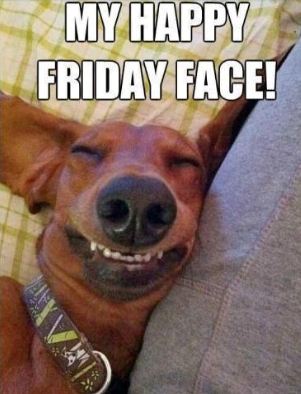 My Friday Happy Face Funny dog meme - Never Shutup ...