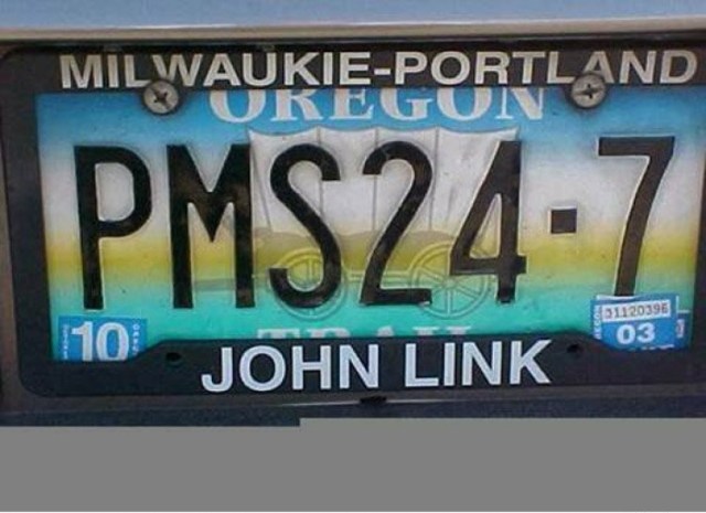 license-plates (14)