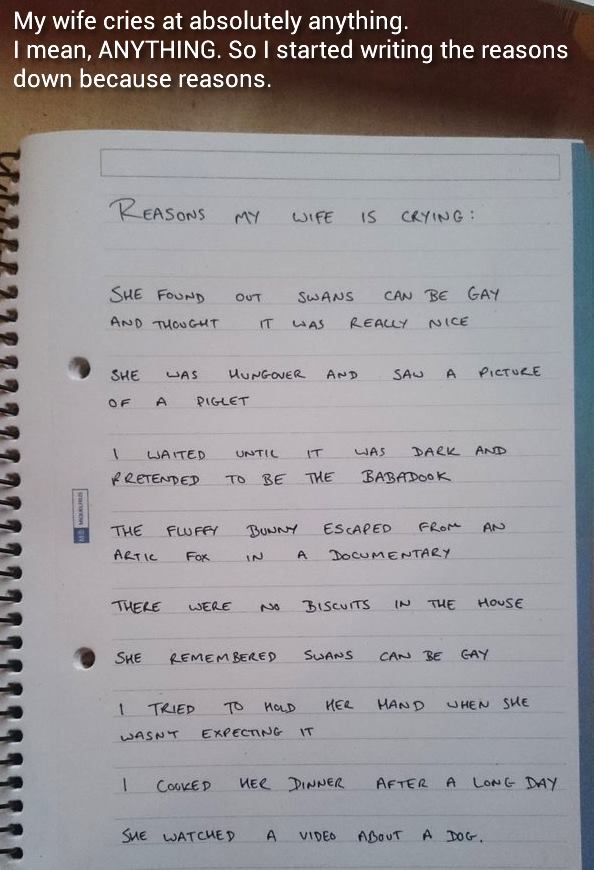 A guy writes down reasons his wife cries about