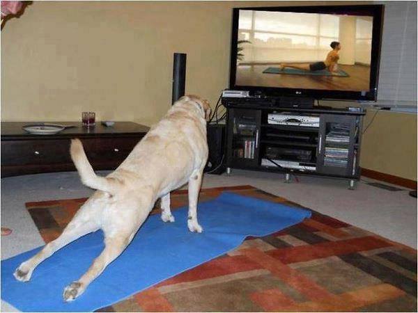 Best exercise place