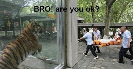 Bro are you ok ?