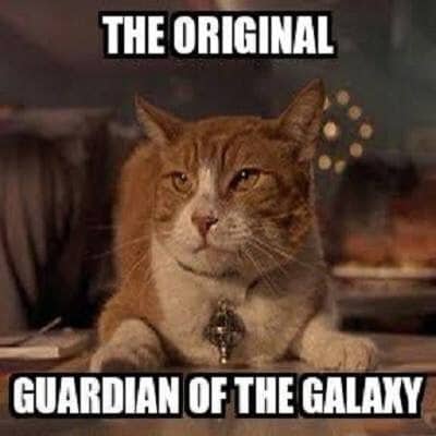 Can you name the movie?