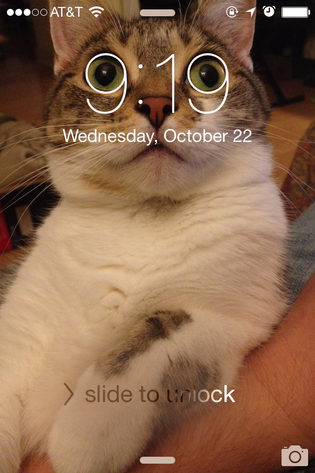 Cat slide to unlock