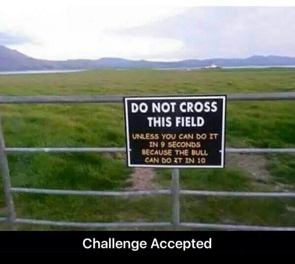 Challenge Accepted