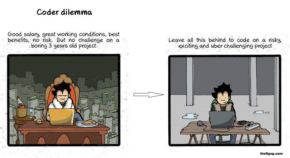coder dilemma