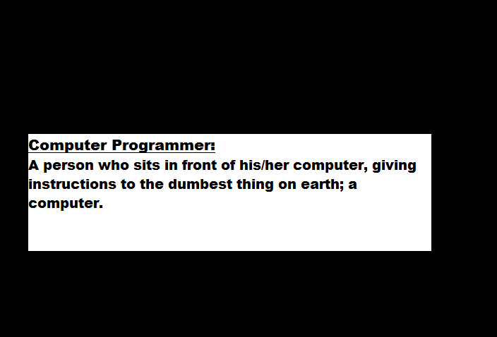 Computer programmer