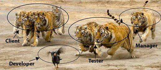Developer story