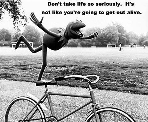don.t take