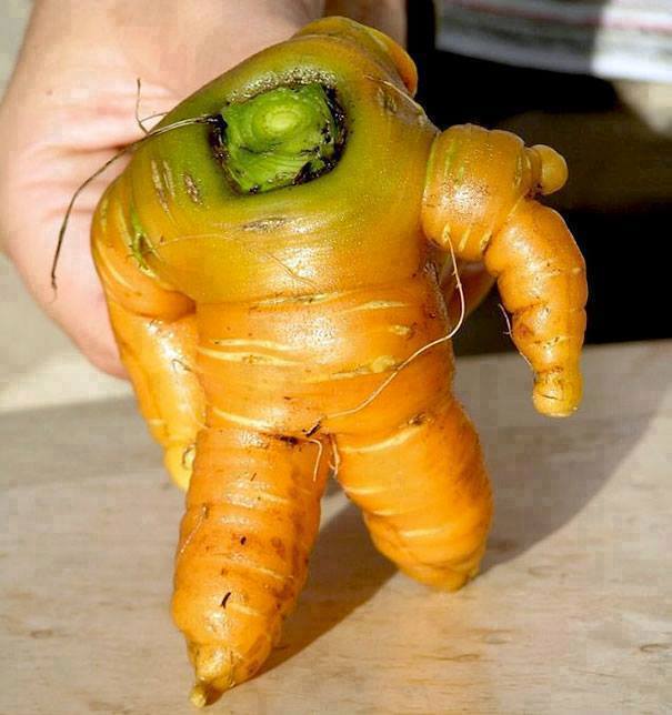 Food heros