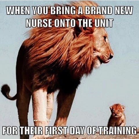 For Their First Day Of Training