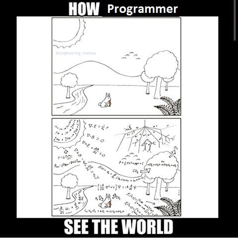 How a programmer see the world