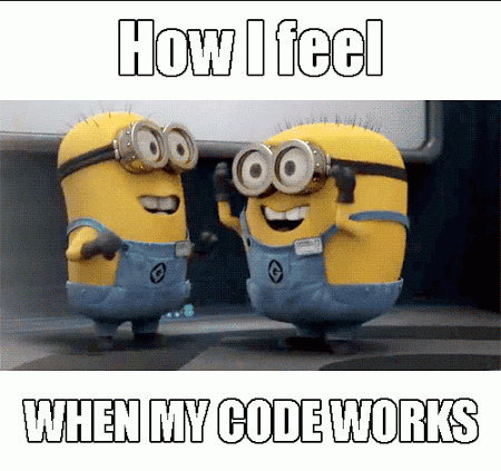 How I Feel When My Code Works