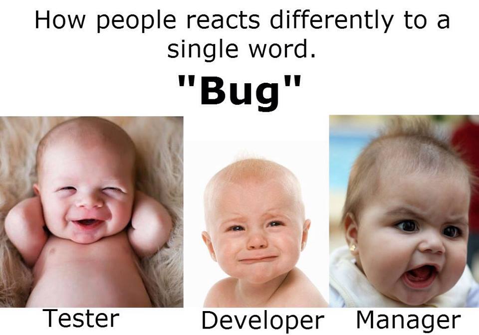 How People reacts differently to a single word "Bug"