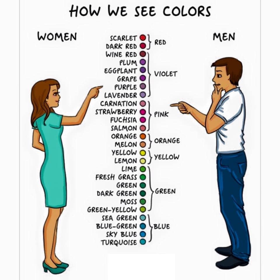 How we see colors