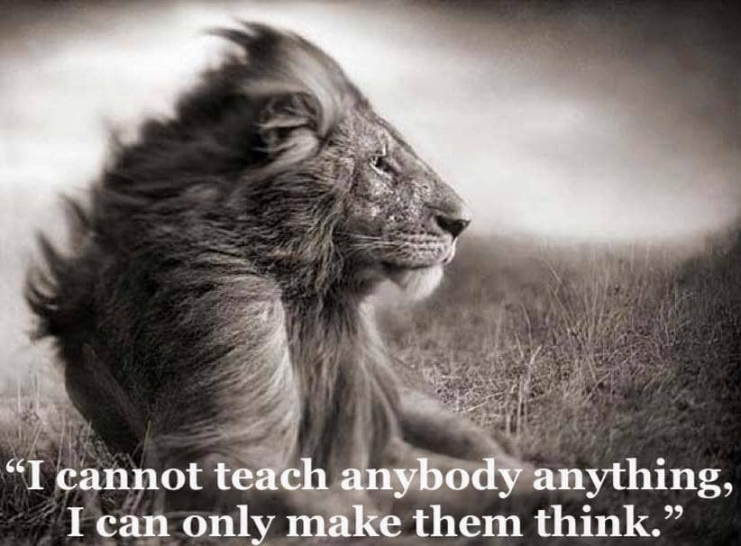 I cannot teach anybody