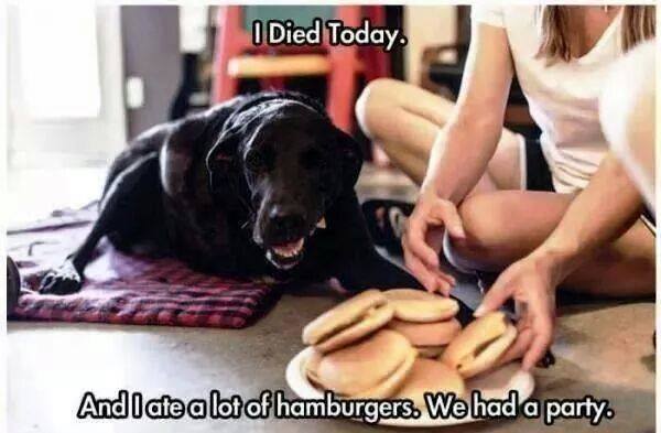 I Died Today