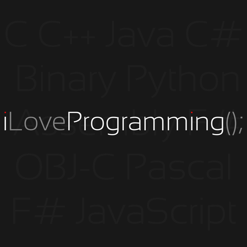 I love programming