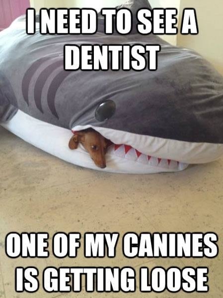 I Need to see a dentist
