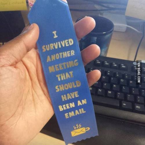 i survived another meeting that should have been an email