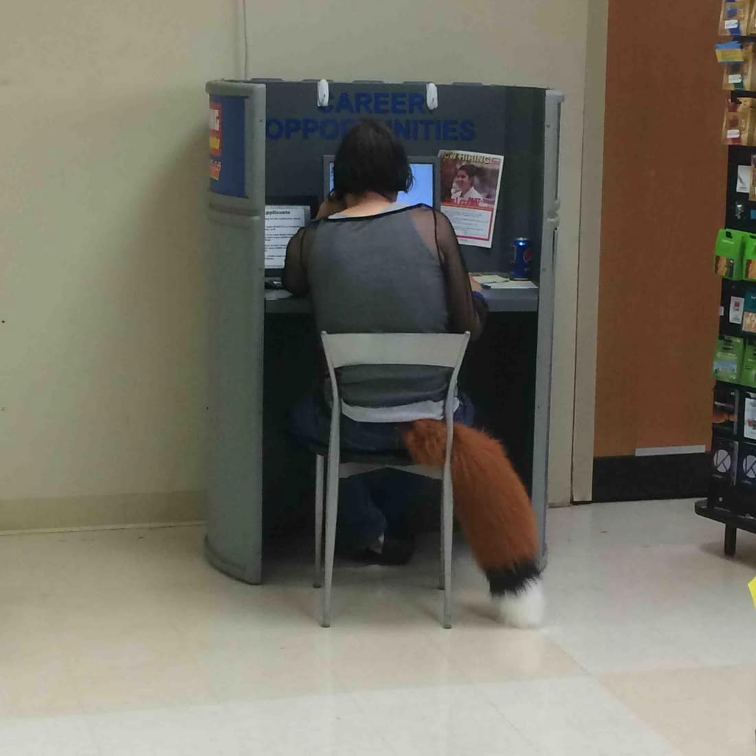 I think firefox work