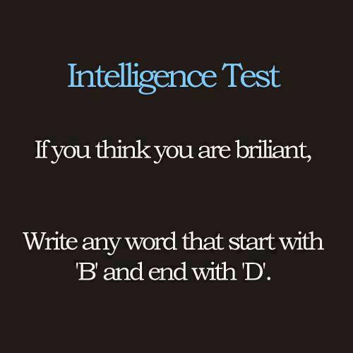 Intelligence Test