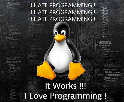 It works! I love Programming