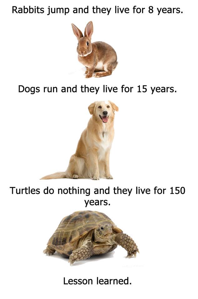 Laziness is the key