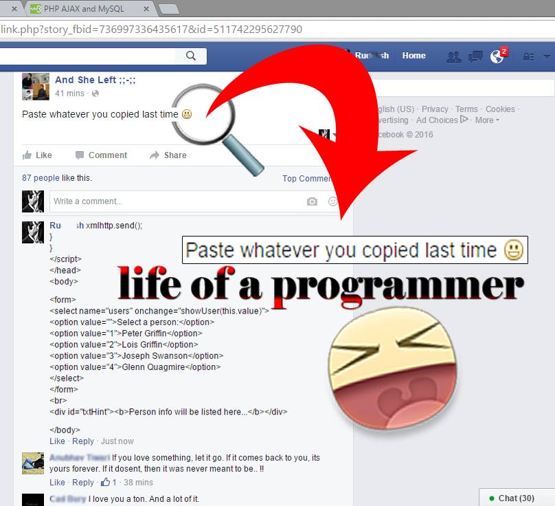 life of a programmer