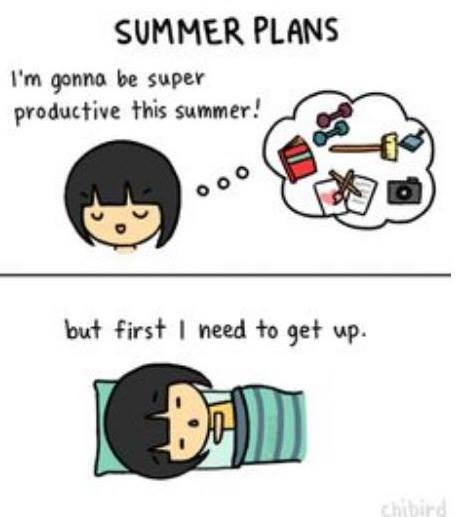my summer plans