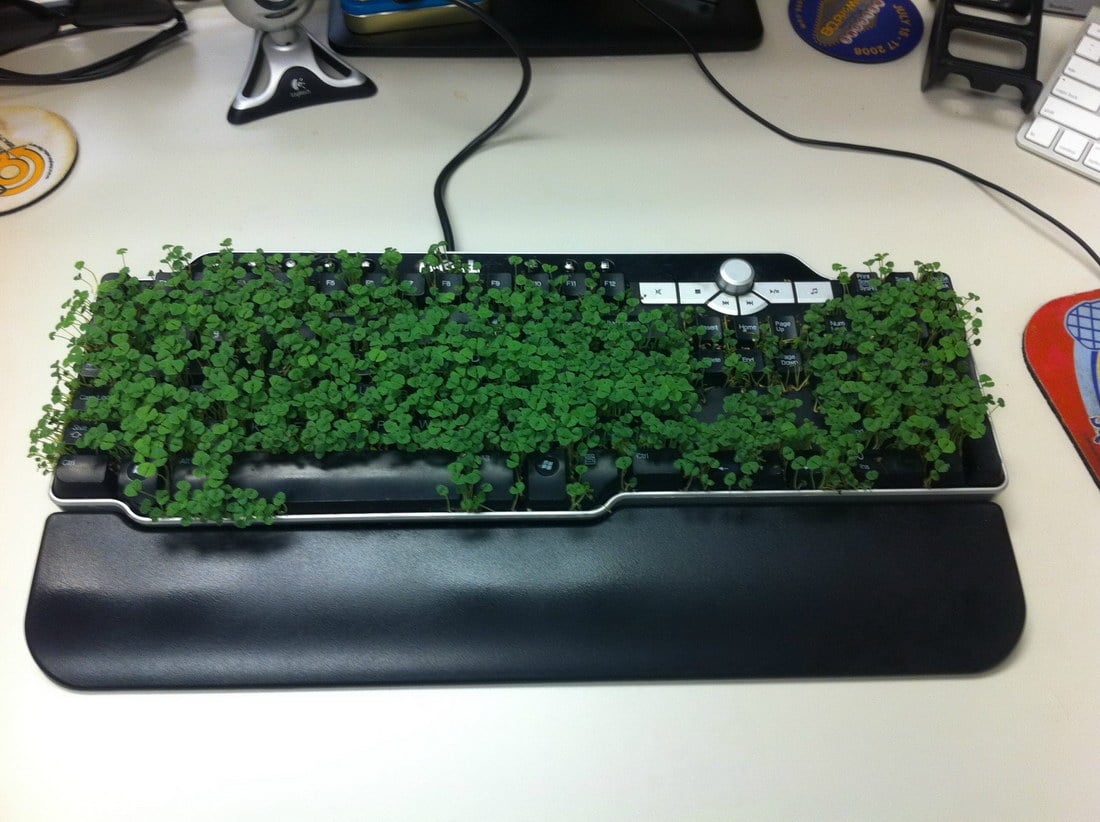 near to nature beautiful keyboard