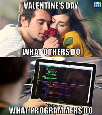On valentine's day what others do and what Programmers Do