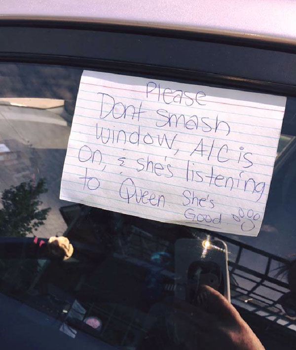 Please do not smash window