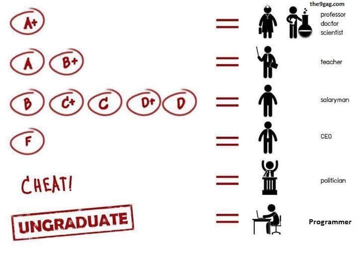 Professor doctor scientist and programmer