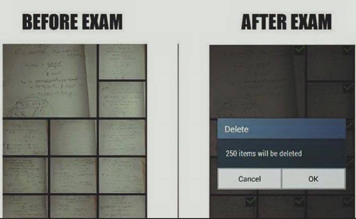 Programmer before exam and after exam