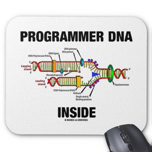 programmer DNA inside