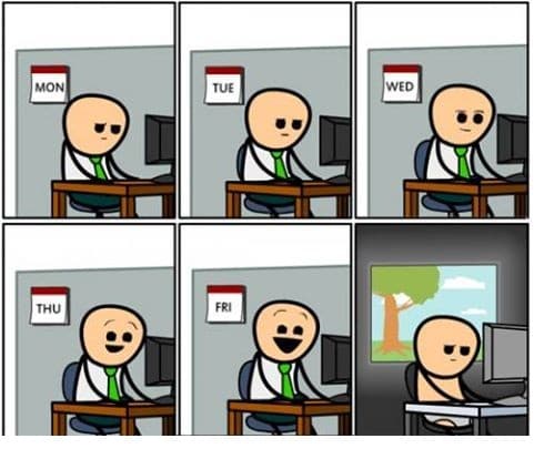 Programmer on weekends