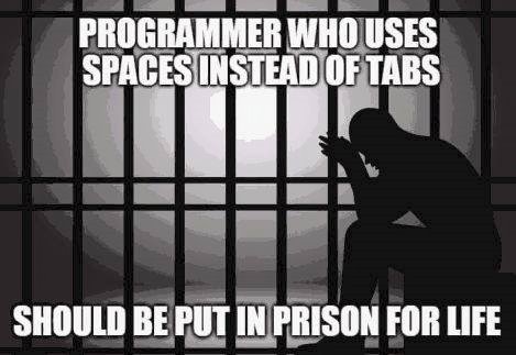 Programmer who uses spaces instead of tabs
