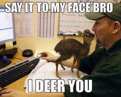 Say It to my Face Bro