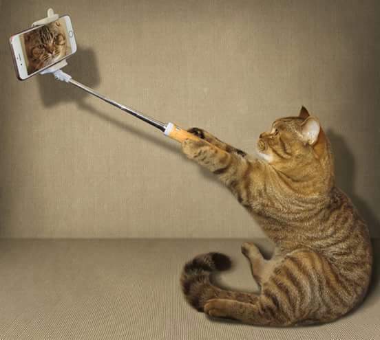 Selfie Time