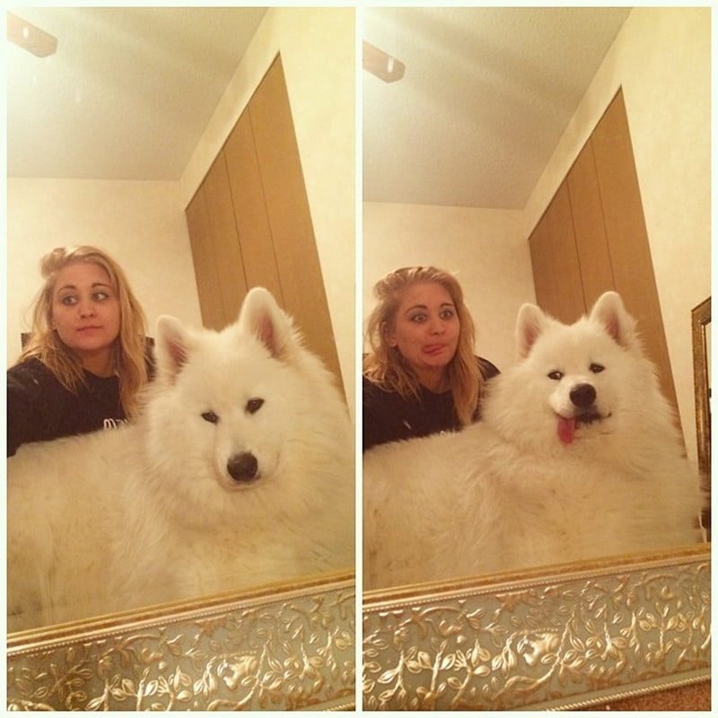 so sweet do you like dog acting