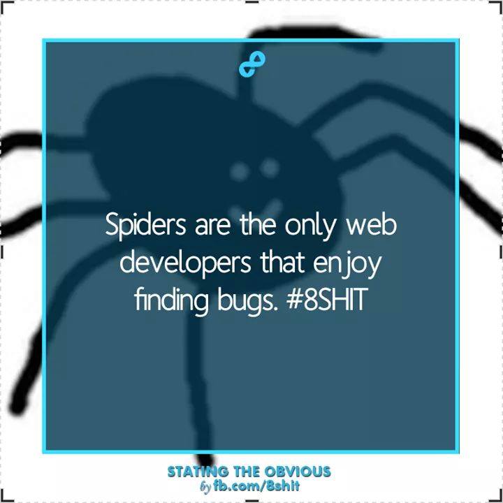 Spiders are the only web developers that enjoy finding bugs