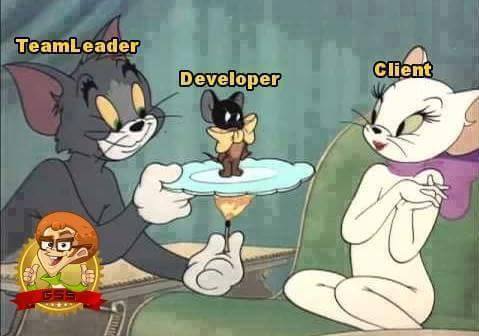 TeamLeader vs Developer