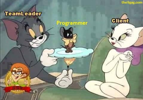 TeamLeader vs Programmer