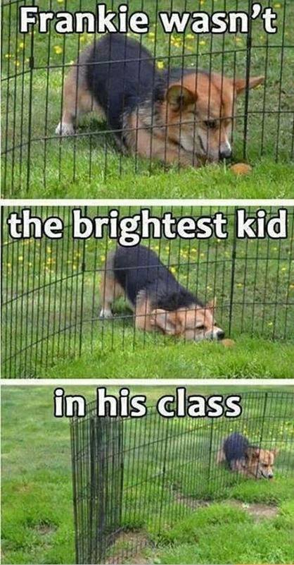 The brightest kid in his class