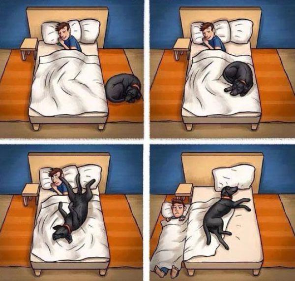 The do this ALL the time