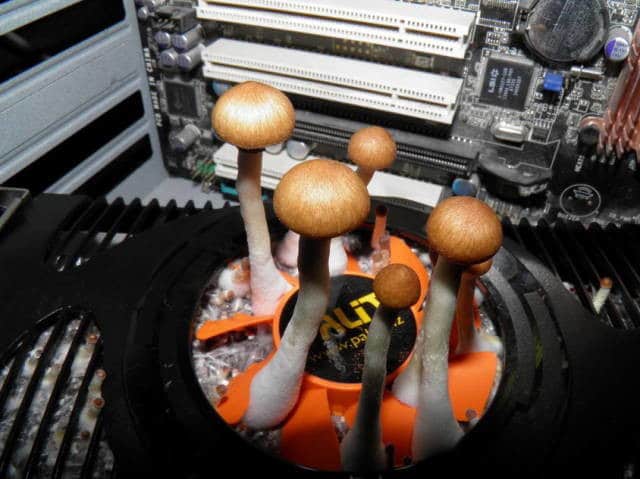 The Reason Of Your Computer's Breakdown Problem