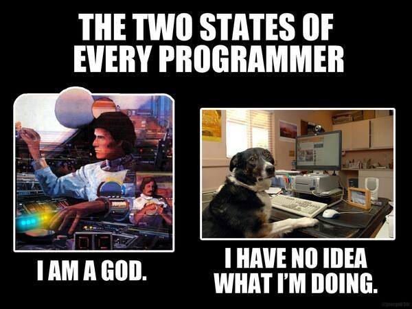 The two states of every programmer!