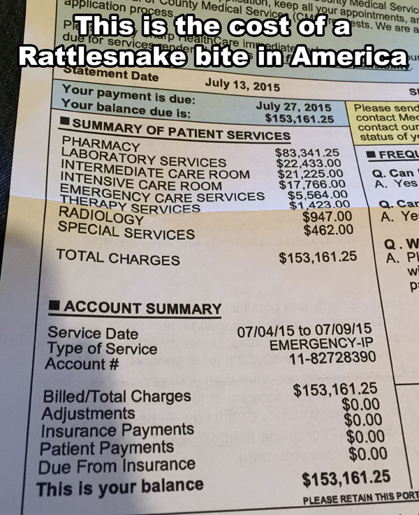 This is the cost of a Rattlesnake bite in America
