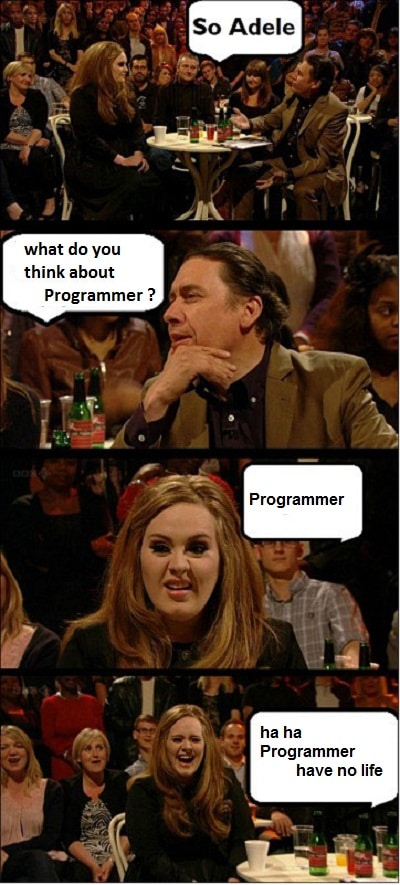 what do you think about Programmer ?