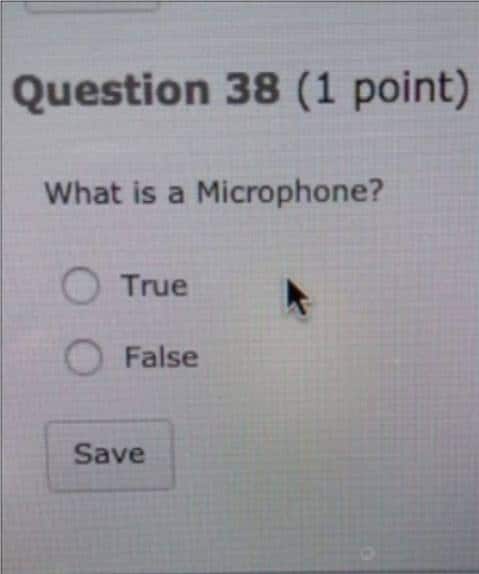 What is a Microphone?